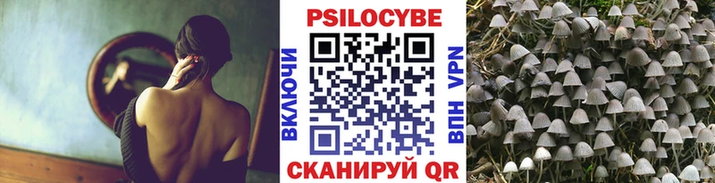 Галлюциногенные грибы Psilocybe  Купить  Курск 